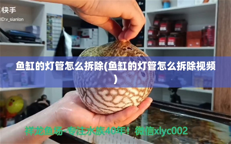 魚缸的燈管怎么拆除(魚缸的燈管怎么拆除視頻) 南美異型魚