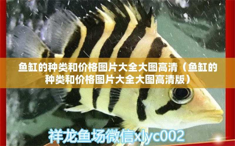 魚缸的種類和價格圖片大全大圖高清（魚缸的種類和價格圖片大全大圖高清版） 大湖紅龍魚