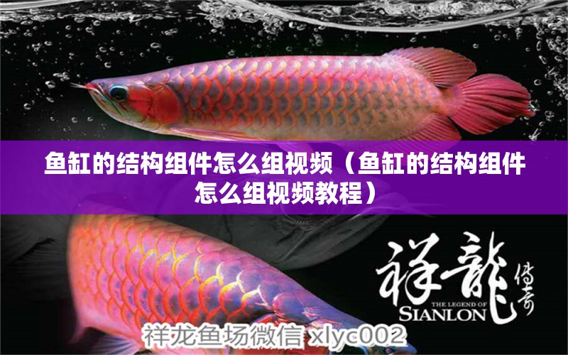 魚缸的結(jié)構(gòu)組件怎么組視頻（魚缸的結(jié)構(gòu)組件怎么組視頻教程）