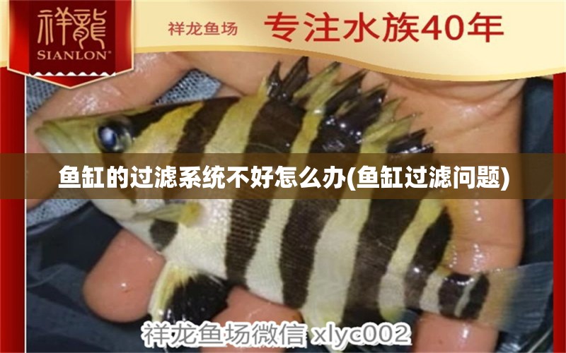 魚缸的過濾系統(tǒng)不好怎么辦(魚缸過濾問題) 魚缸等水族設(shè)備