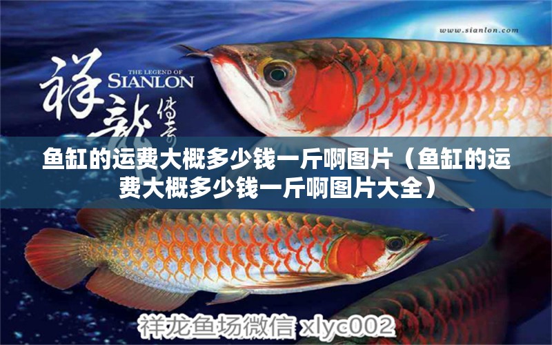 魚缸的運費大概多少錢一斤啊圖片（魚缸的運費大概多少錢一斤啊圖片大全）