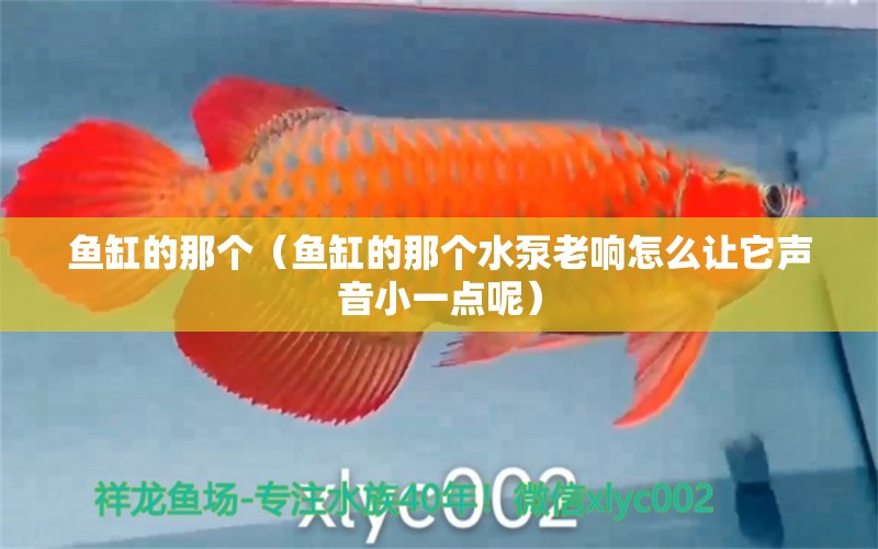 魚缸的那個（魚缸的那個水泵老響怎么讓它聲音小一點呢）