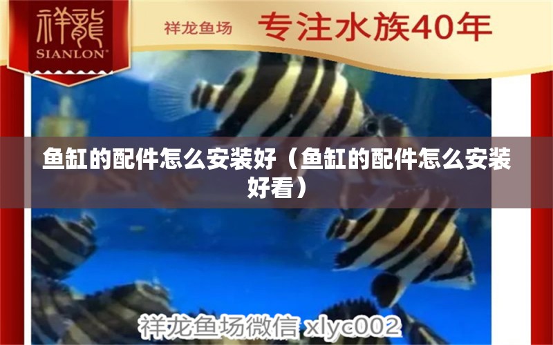 魚缸的配件怎么安裝好（魚缸的配件怎么安裝好看） 祥龍水族醫(yī)院