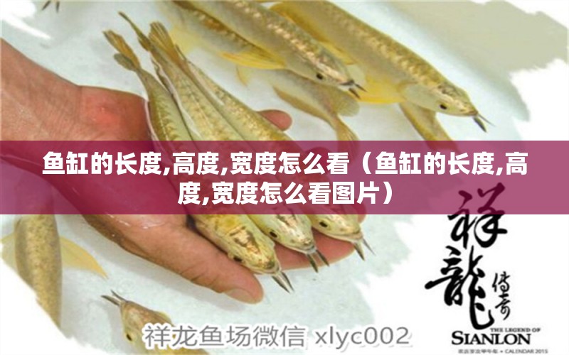 魚缸的長(zhǎng)度,高度,寬度怎么看（魚缸的長(zhǎng)度,高度,寬度怎么看圖片）