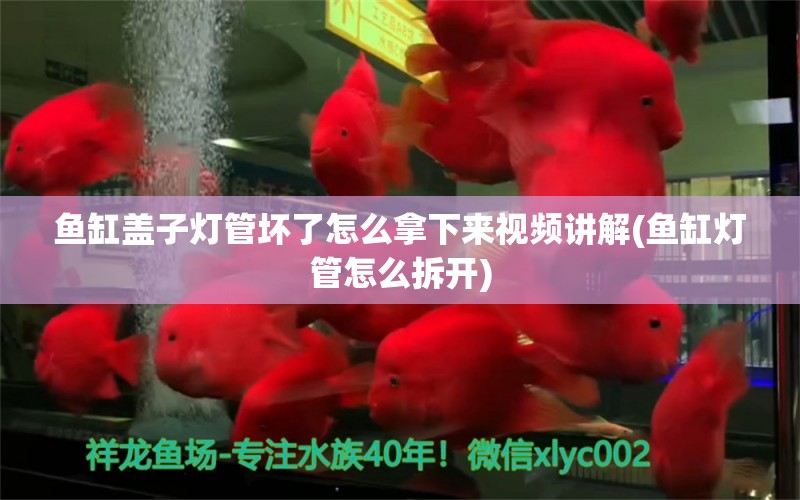 魚缸蓋子燈管壞了怎么拿下來視頻講解(魚缸燈管怎么拆開) 祥龍龍魚魚糧 第1張