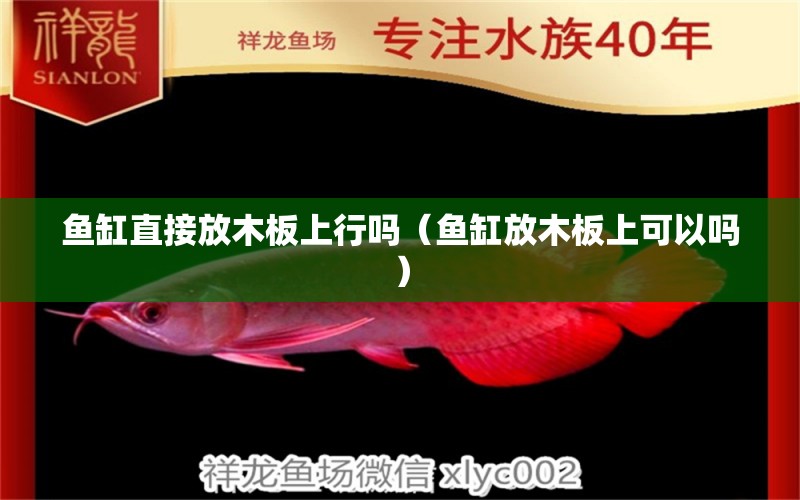 魚(yú)缸直接放木板上行嗎（魚(yú)缸放木板上可以嗎）