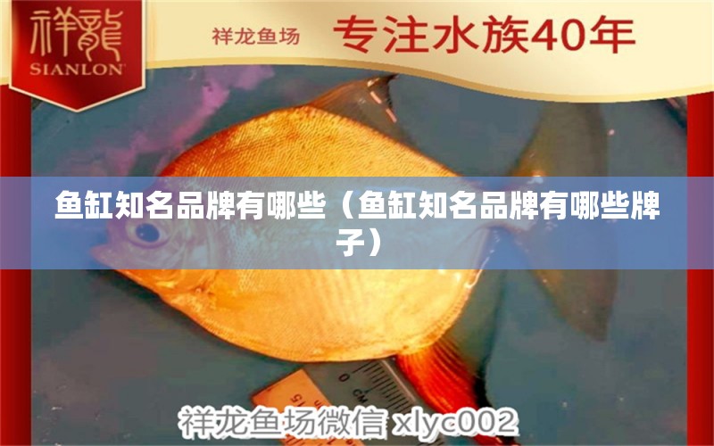 魚缸知名品牌有哪些（魚缸知名品牌有哪些牌子）