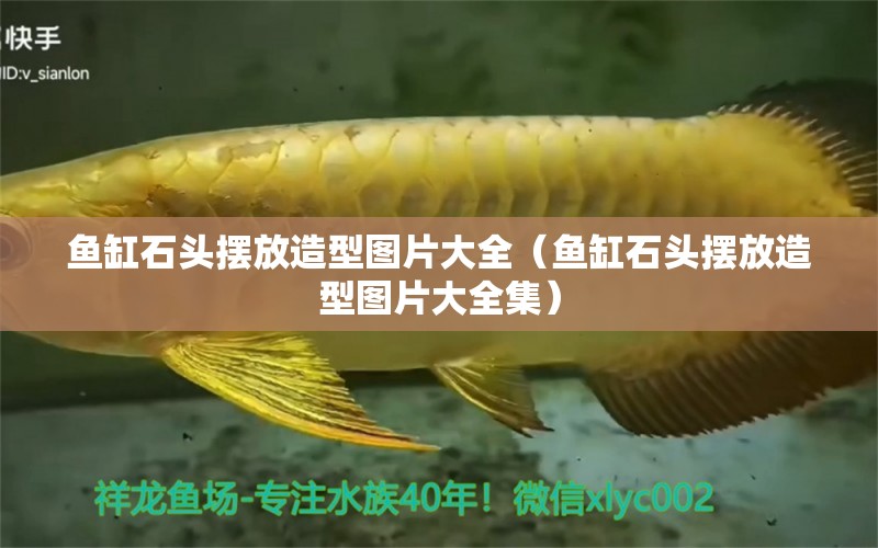 魚缸石頭擺放造型圖片大全（魚缸石頭擺放造型圖片大全集）