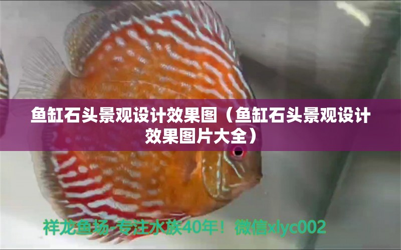 魚缸石頭景觀設(shè)計(jì)效果圖（魚缸石頭景觀設(shè)計(jì)效果圖片大全）