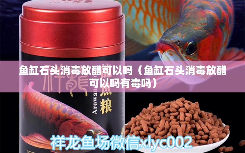 魚缸石頭消毒放醋可以嗎（魚缸石頭消毒放醋可以嗎有毒嗎） 其他品牌魚缸