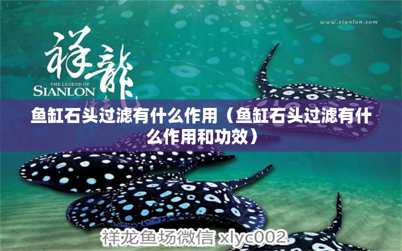 魚缸石頭過濾有什么作用（魚缸石頭過濾有什么作用和功效）