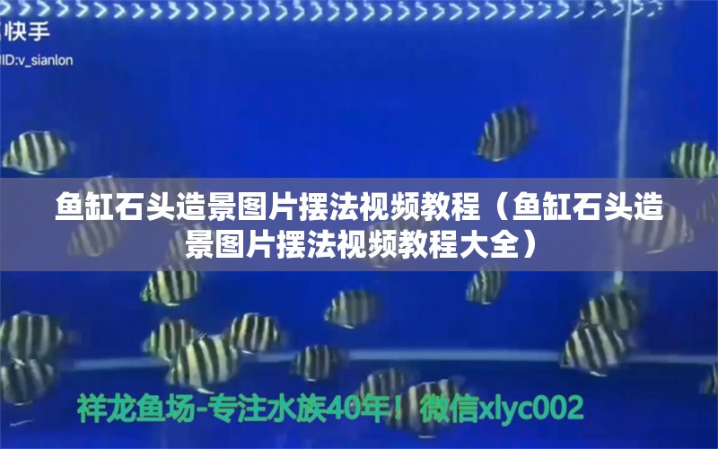 魚缸石頭造景圖片擺法視頻教程（魚缸石頭造景圖片擺法視頻教程大全）