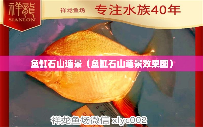 魚缸石山造景（魚缸石山造景效果圖） 祥龍水族醫(yī)院