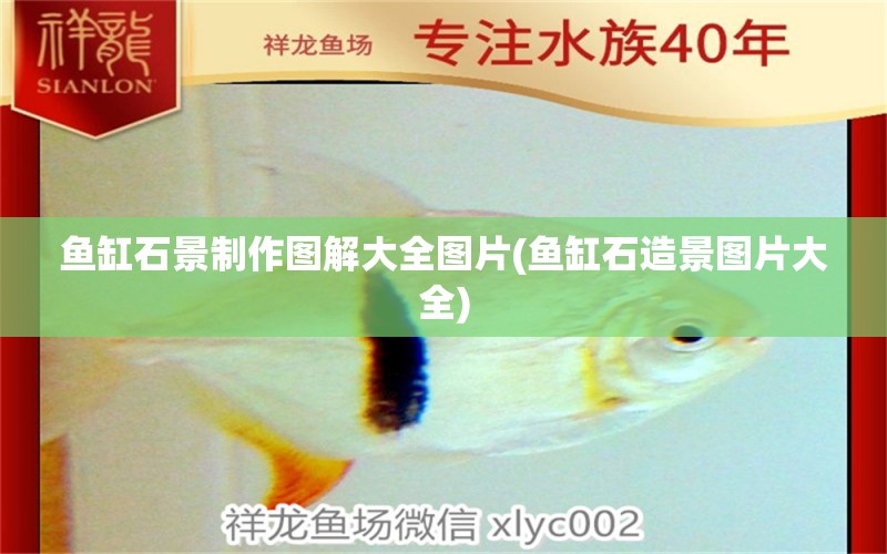 魚缸石景制作圖解大全圖片(魚缸石造景圖片大全) 鴨嘴鯊魚 第1張