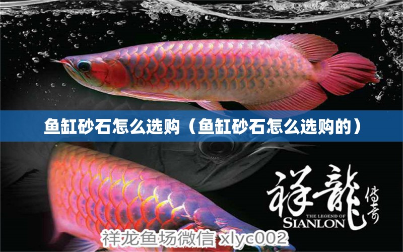 魚缸砂石怎么選購（魚缸砂石怎么選購的）