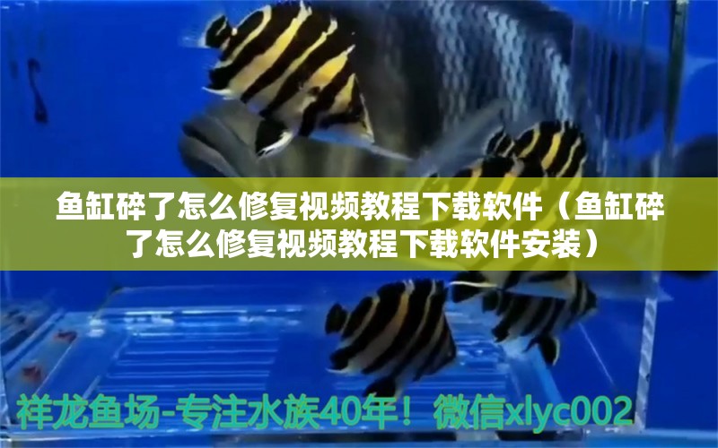 魚(yú)缸碎了怎么修復(fù)視頻教程下載軟件（魚(yú)缸碎了怎么修復(fù)視頻教程下載軟件安裝）