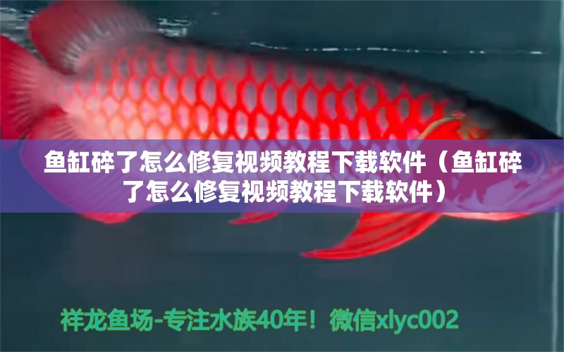 魚缸碎了怎么修復(fù)視頻教程下載軟件（魚缸碎了怎么修復(fù)視頻教程下載軟件）