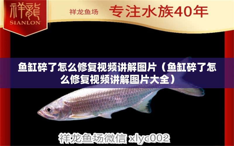 魚缸碎了怎么修復(fù)視頻講解圖片（魚缸碎了怎么修復(fù)視頻講解圖片大全）