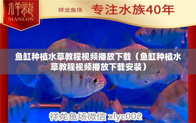 魚(yú)缸種植水草教程視頻播放下載（魚(yú)缸種植水草教程視頻播放下載安裝）