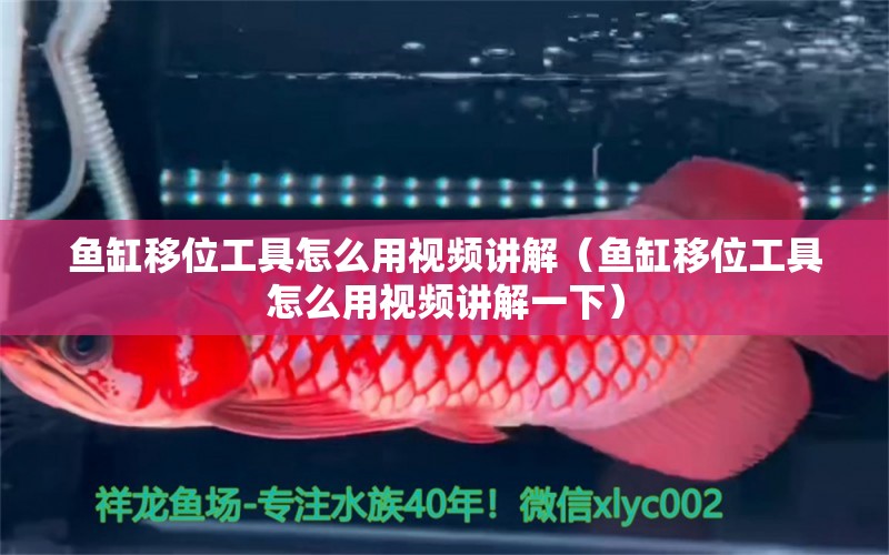 魚缸移位工具怎么用視頻講解（魚缸移位工具怎么用視頻講解一下）