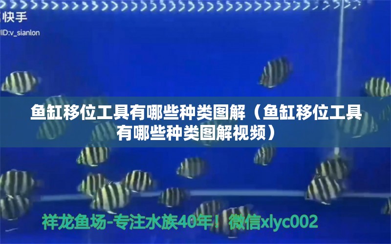 魚缸移位工具有哪些種類圖解（魚缸移位工具有哪些種類圖解視頻） 其他品牌魚缸