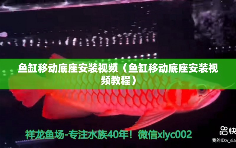 魚缸移動底座安裝視頻（魚缸移動底座安裝視頻教程） 其他品牌魚缸