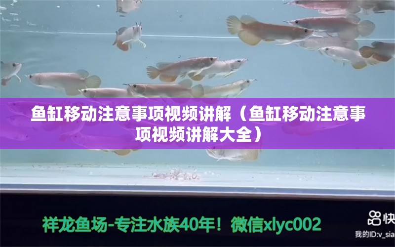 魚(yú)缸移動(dòng)注意事項(xiàng)視頻講解（魚(yú)缸移動(dòng)注意事項(xiàng)視頻講解大全） 其他品牌魚(yú)缸