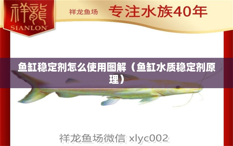 魚缸穩(wěn)定劑怎么使用圖解（魚缸水質(zhì)穩(wěn)定劑原理） 巨骨舌魚