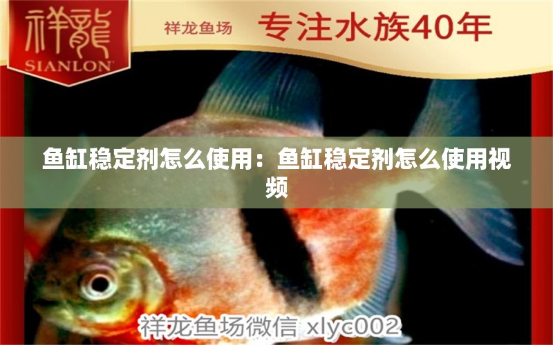 魚缸穩(wěn)定劑怎么使用：魚缸穩(wěn)定劑怎么使用視頻 觀賞魚