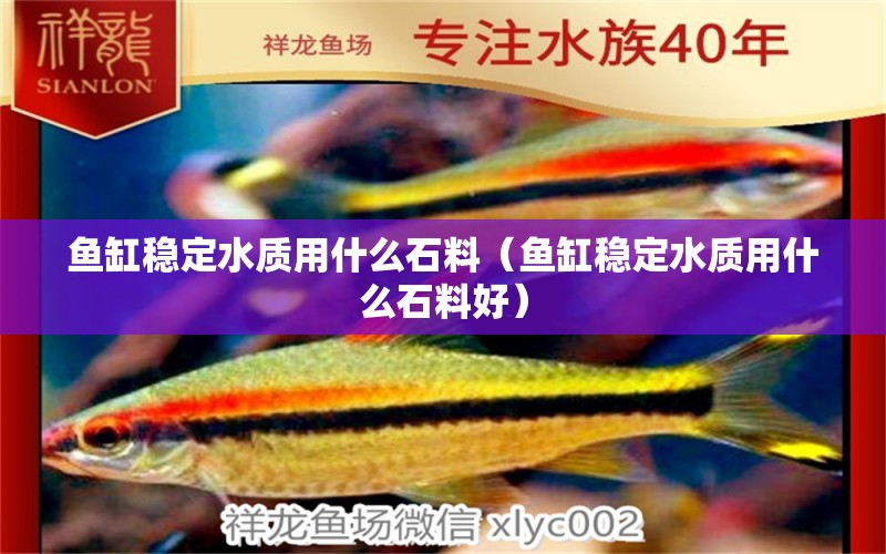 魚缸穩(wěn)定水質(zhì)用什么石料（魚缸穩(wěn)定水質(zhì)用什么石料好） 其他品牌魚缸