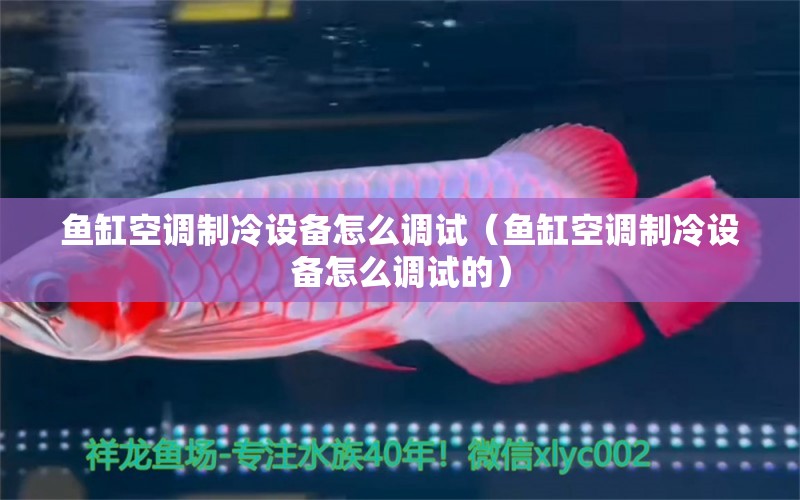 魚缸空調(diào)制冷設(shè)備怎么調(diào)試（魚缸空調(diào)制冷設(shè)備怎么調(diào)試的）