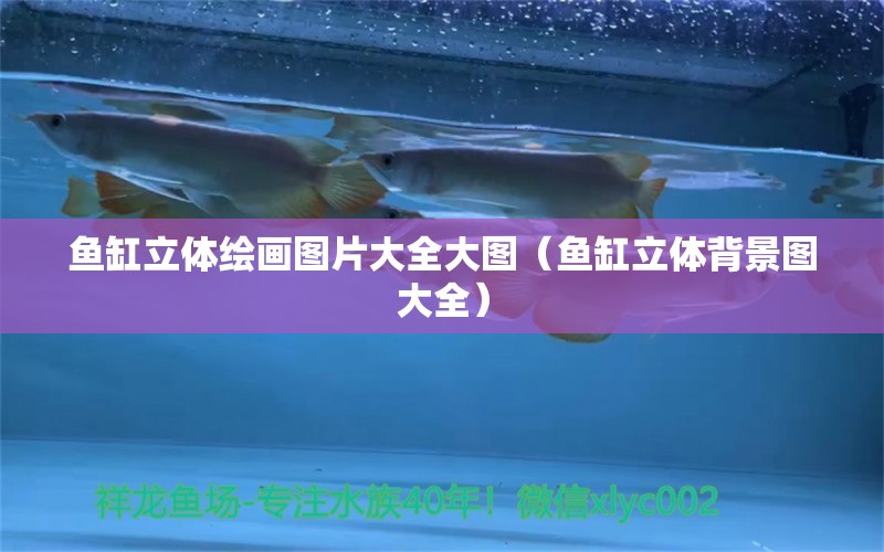 魚(yú)缸立體繪畫(huà)圖片大全大圖（魚(yú)缸立體背景圖大全）