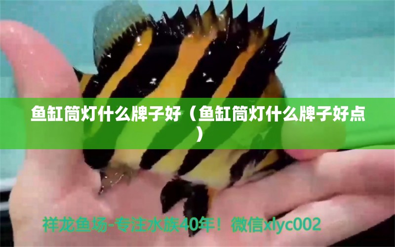 魚(yú)缸筒燈什么牌子好（魚(yú)缸筒燈什么牌子好點(diǎn)）