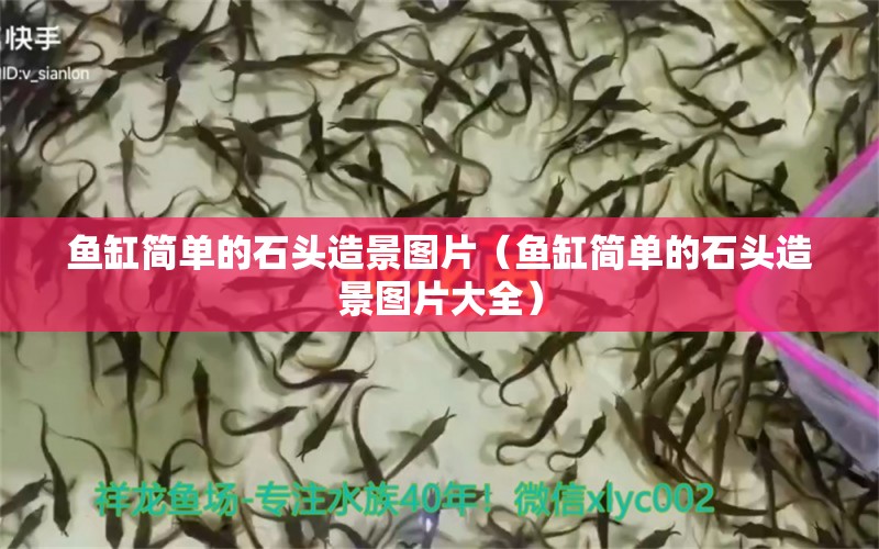 魚缸簡單的石頭造景圖片（魚缸簡單的石頭造景圖片大全）