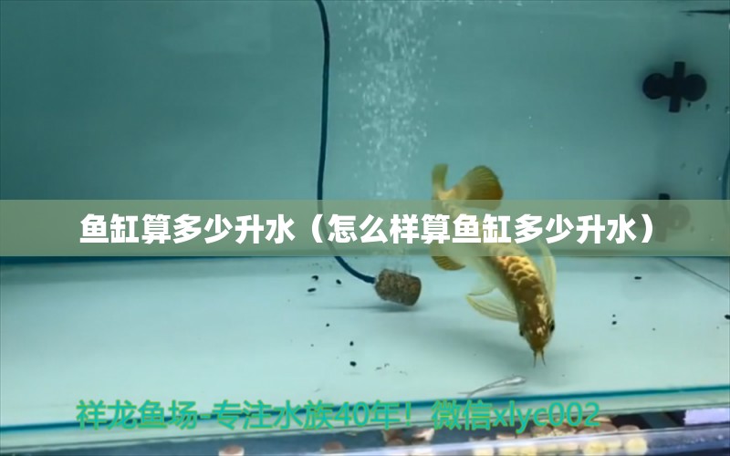 魚(yú)缸算多少升水（怎么樣算魚(yú)缸多少升水） 銀河星鉆魚(yú)