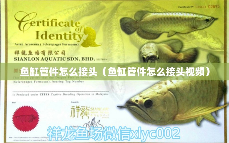 魚缸管件怎么接頭（魚缸管件怎么接頭視頻） 祥龍水族醫(yī)院