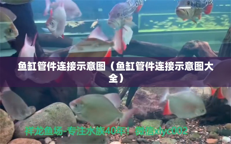 魚缸管件連接示意圖（魚缸管件連接示意圖大全）