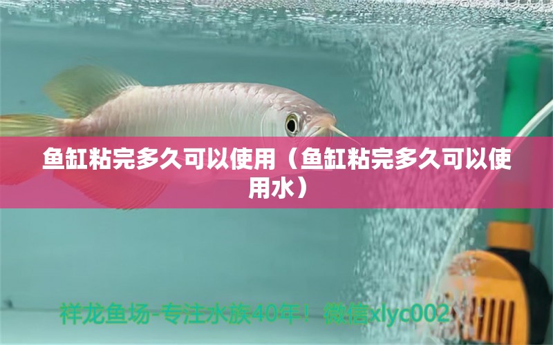 魚缸粘完多久可以使用（魚缸粘完多久可以使用水）