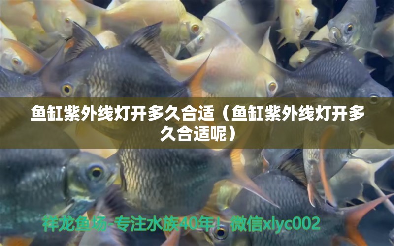 魚缸紫外線燈開多久合適（魚缸紫外線燈開多久合適呢）