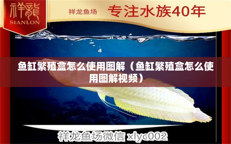 魚(yú)缸繁殖盒怎么使用圖解（魚(yú)缸繁殖盒怎么使用圖解視頻）