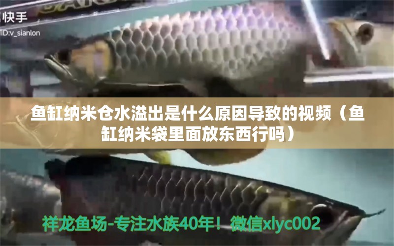 魚(yú)缸納米倉(cāng)水溢出是什么原因?qū)е碌囊曨l（魚(yú)缸納米袋里面放東西行嗎）