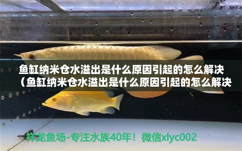 魚缸納米倉(cāng)水溢出是什么原因引起的怎么解決（魚缸納米倉(cāng)水溢出是什么原因引起的怎么解決視頻）