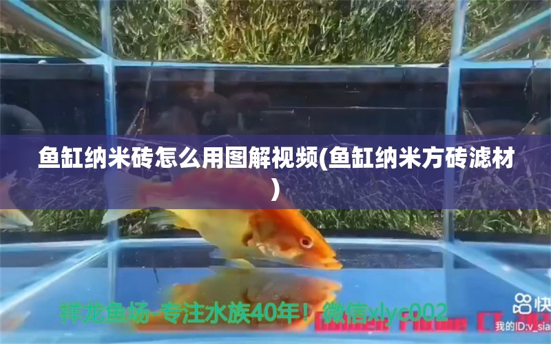 魚缸納米磚怎么用圖解視頻(魚缸納米方磚濾材) 馬拉莫寶石魚