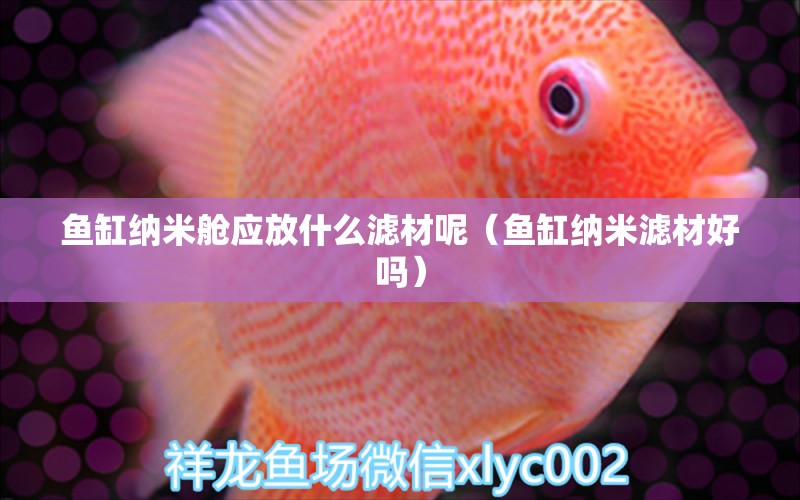 魚缸納米艙應(yīng)放什么濾材呢（魚缸納米濾材好嗎） 廣州觀賞魚批發(fā)市場