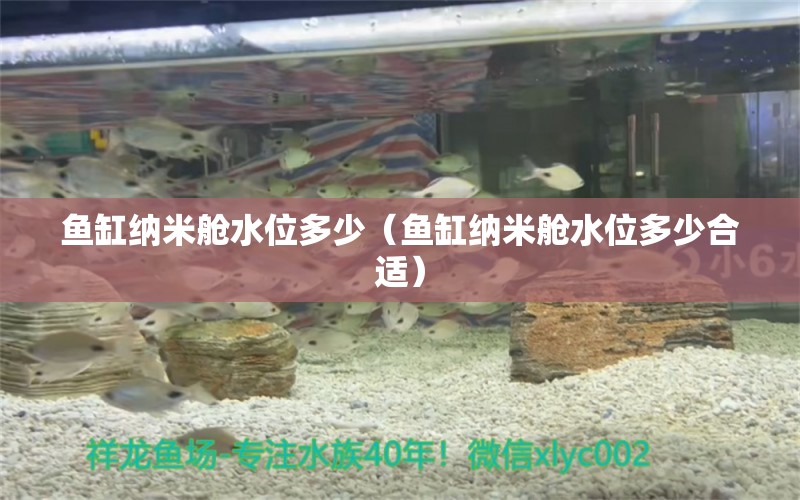 魚缸納米艙水位多少（魚缸納米艙水位多少合適） 祥龍水族醫(yī)院