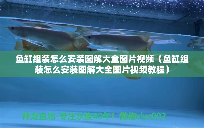 魚缸組裝怎么安裝圖解大全圖片視頻（魚缸組裝怎么安裝圖解大全圖片視頻教程） 照明器材