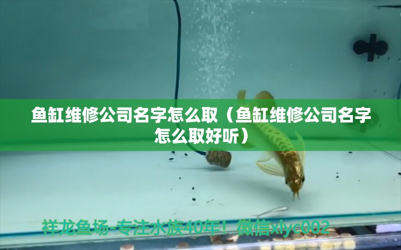 魚缸維修公司名字怎么?。~缸維修公司名字怎么取好聽）