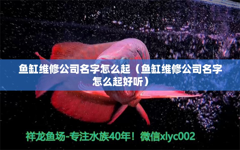 魚缸維修公司名字怎么起（魚缸維修公司名字怎么起好聽）