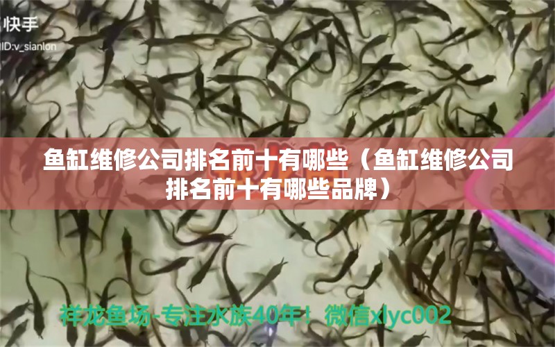 魚(yú)缸維修公司排名前十有哪些（魚(yú)缸維修公司排名前十有哪些品牌） 溫控設(shè)備