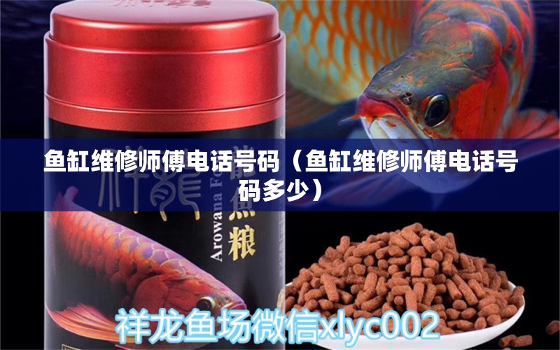 魚缸維修師傅電話號碼（魚缸維修師傅電話號碼多少）